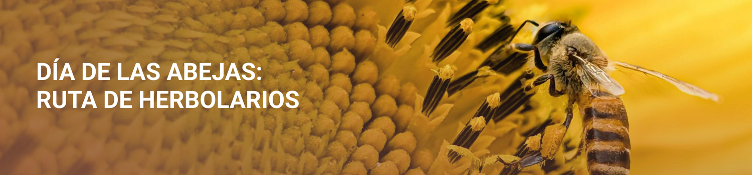 Imagen Día Mundial de las Abejas: el bienestar natural también está en Rivas