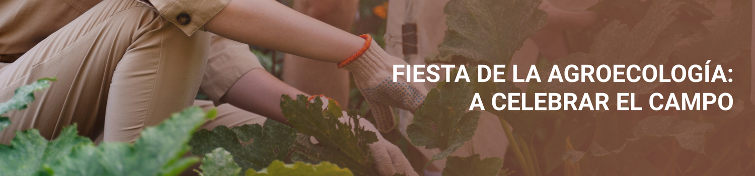 Imagen FIESTA DE LA AGROECOLOGÍA: A CELEBRAR EL CAMPO  