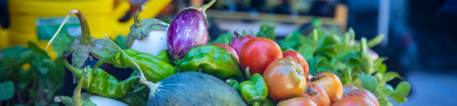 Imagen EL CICLO DE AGROECOLOGÍA "CULTIVANDO FUTURO" CON CUATRO CITAS EN OCTUBRE