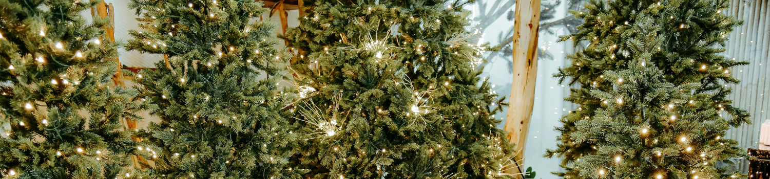 图像 里瓦斯将于11月29日星期六以音乐、工作坊和遍布全城的灯光点亮圣诞节。