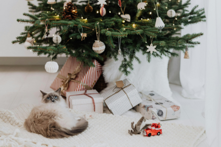 Immagine Dove trovare i migliori regali di Natale a Rivas