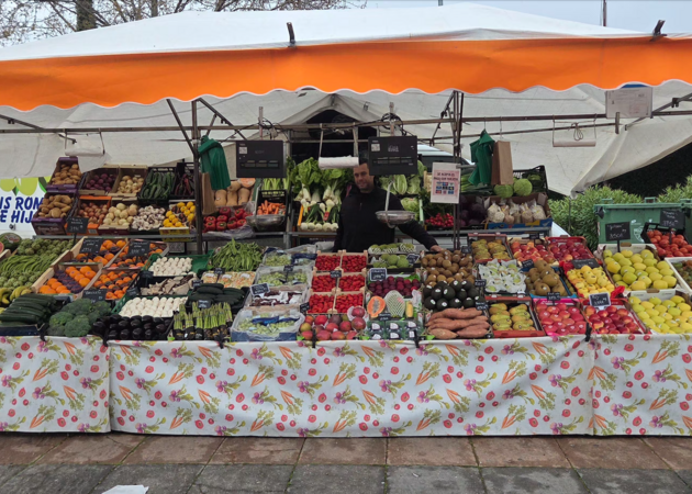 图片库 弗鲁塔斯·埃雷拉·纳兰霍 SL 1