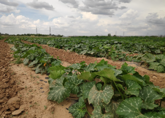 Image gallery Agricultural Action 1