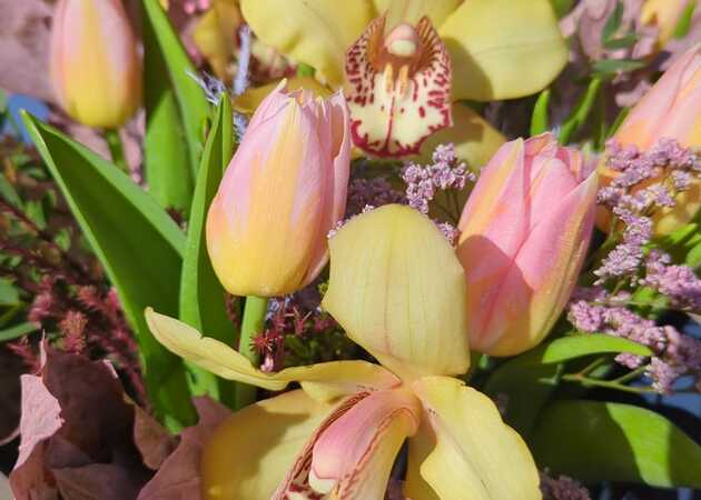 Galeria de imagens Avenida Flores 11