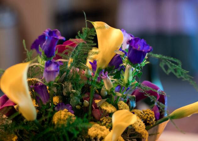 Galeria de imagens Avenida Flores 9