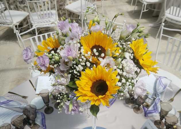 Galeria de imagens Avenida Flores 5