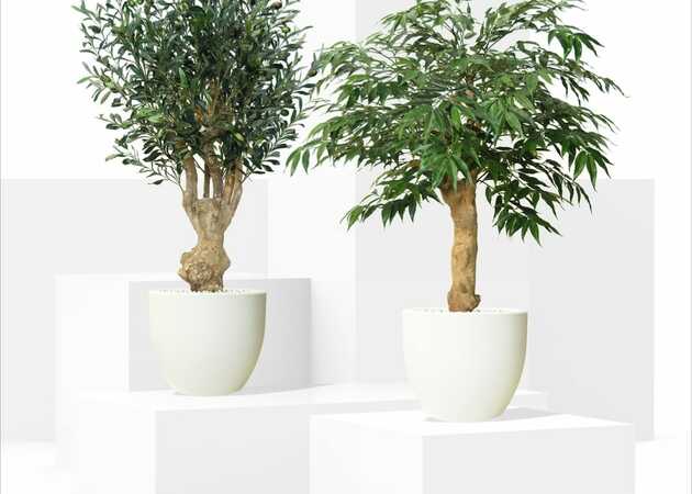 Galeria de imagens Avenida Flores 3