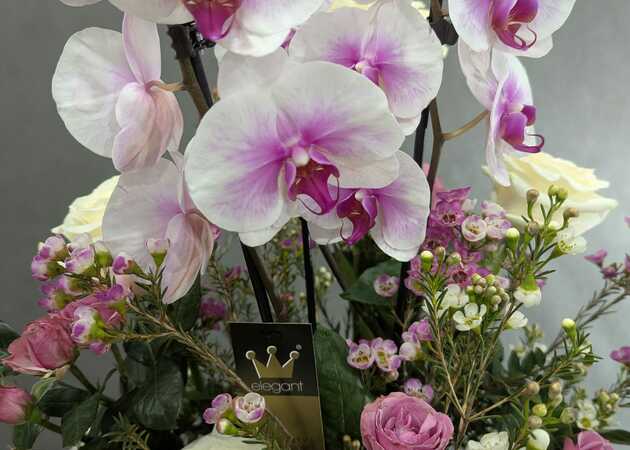 Galeria de imagens Avenida Flores 7