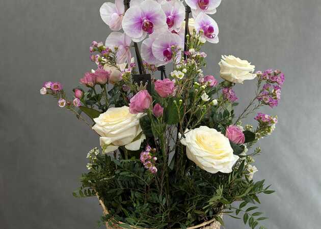 Galeria de imagens Avenida Flores 15