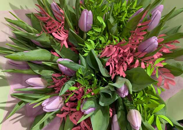 Galeria de imagens Avenida Flores 12