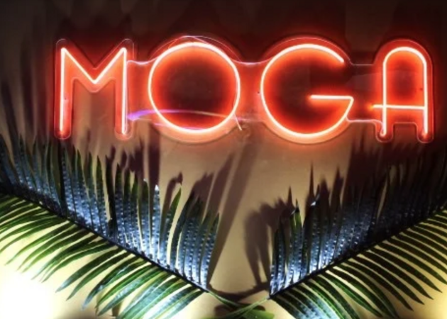 图片库 莫加之夜 1