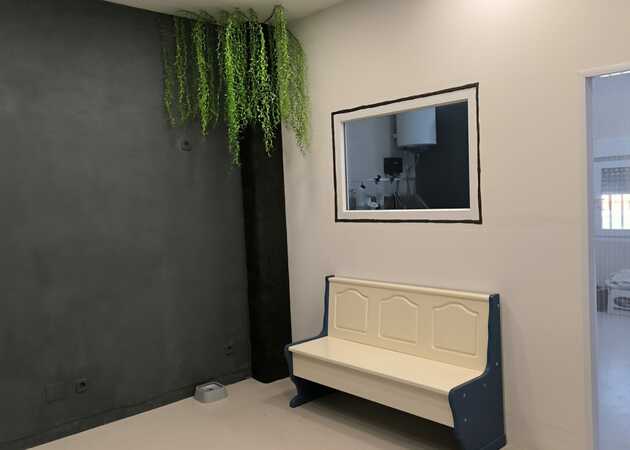 Galerie de images Toilettage des pattes par Sara 3