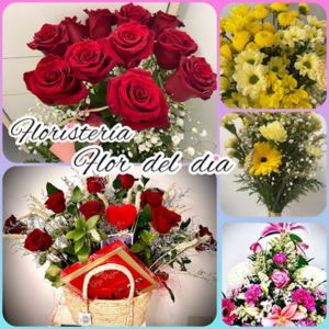 Photo de couverture Fleuriste Fleur du jour