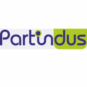 Photo de couverture Partindus