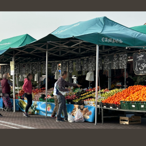 Foto de capa Comercialização Agrícola Hnos.Campos SL