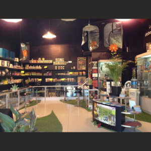 封面照片 CO2 Rivas Vaciamadrid 种植店和 CBD 店
