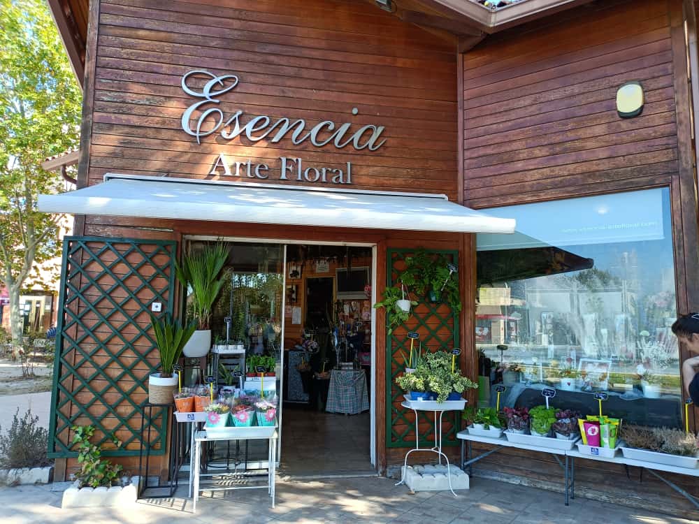 Photo de couverture Essence d'art floral