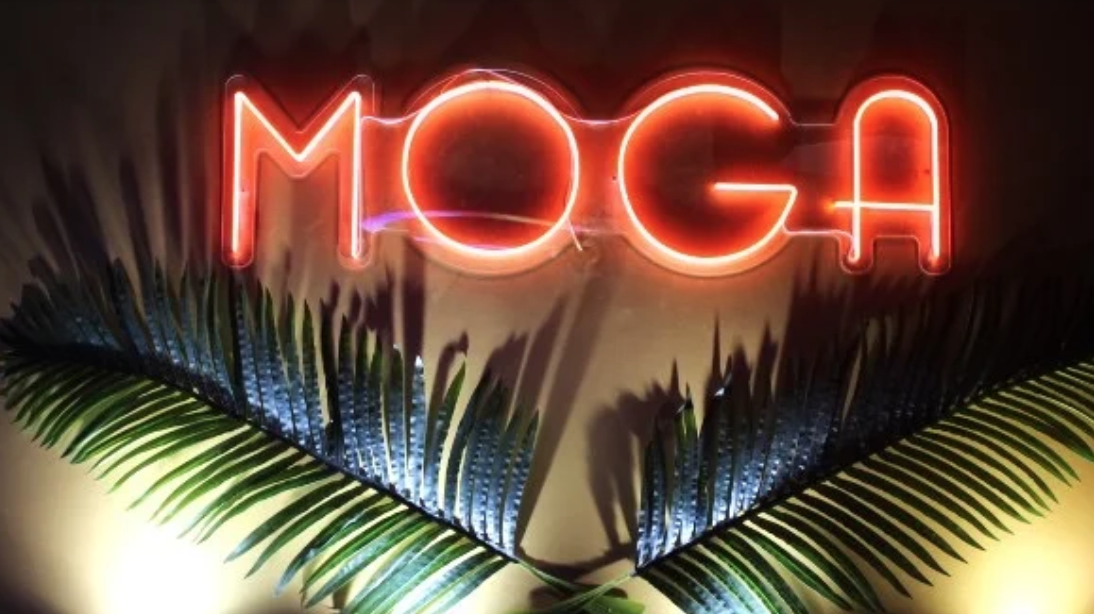 Thumbnail The Moga Night