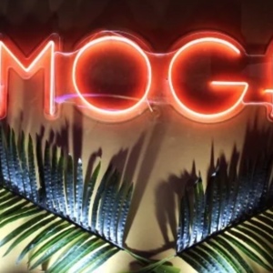 封面照片 莫加之夜