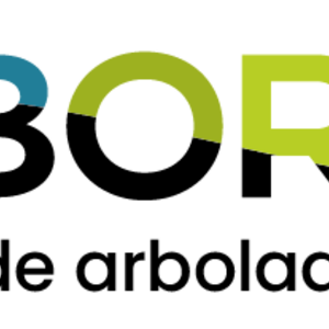 Foto de portada ARBORIZA | Gestión de Arbolado Urbano