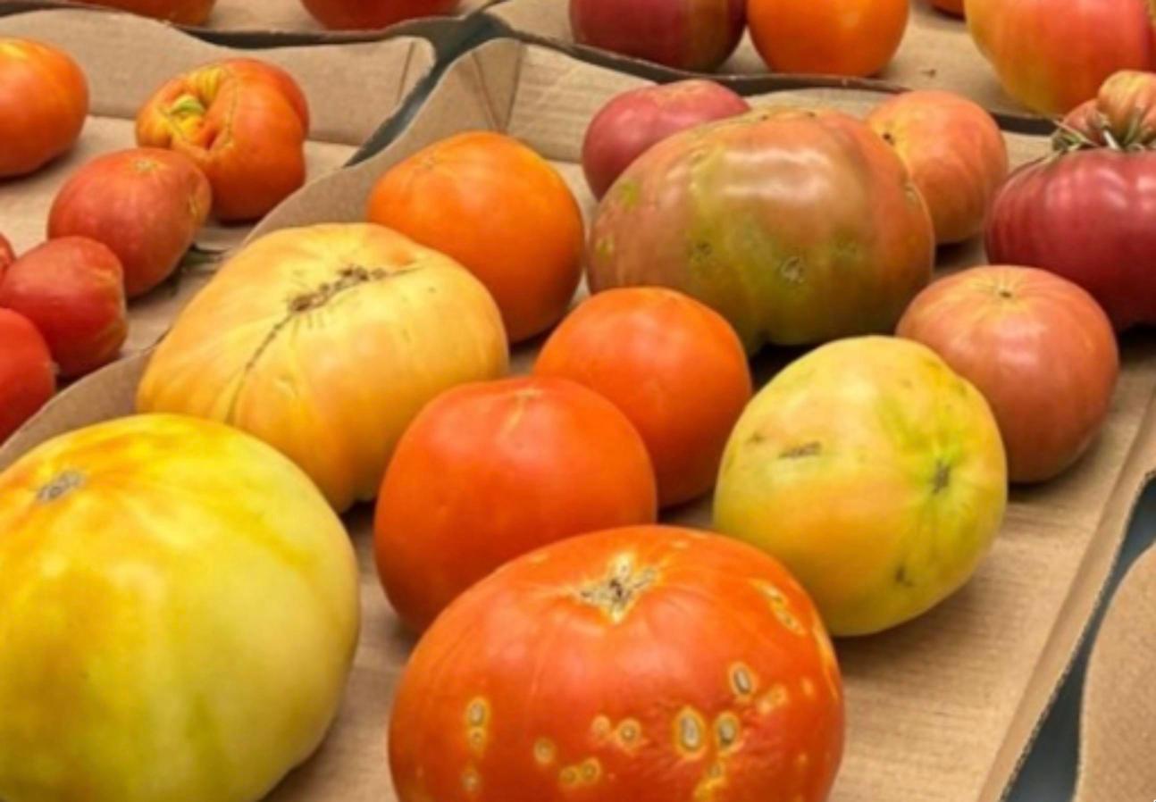 Foto de portada Radix - Venta directa de la huerta